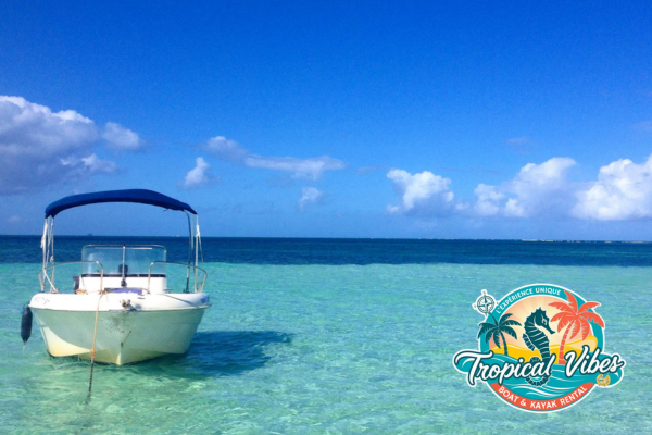 Location bateau 225 CV – avec ou sans skipper