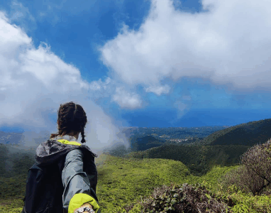 Excursion Guadeloupe à la carte ( tout inclus )