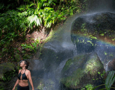 Excursion Guadeloupe à la carte ( tout inclus )
